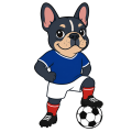 波胆预测每日任务版-波胆预测官方手机版APP下载安装IOS/Android通用版